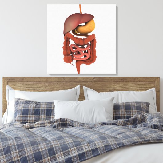Conceptual Image of Human Digestive System 2 Leinwanddruck (Insitu (Schlafzimmer))