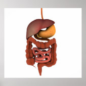 Conceptual Image of Human Digestive System 2 Poster (Vorne)