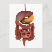 Conceptual Image of Human Digestive System 2 Postkarte (Vorderseite)