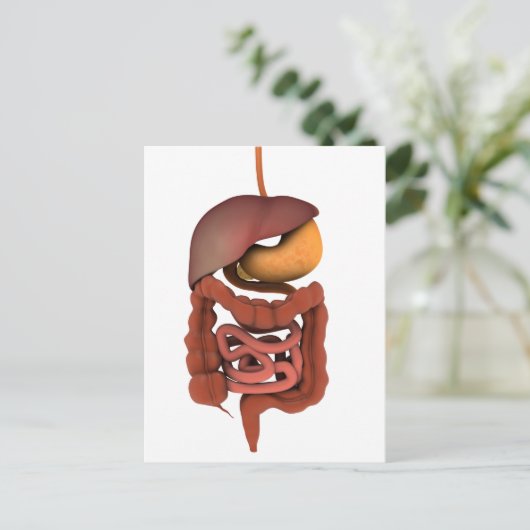 Conceptual Image of Human Digestive System 2 Postkarte (Stehend Vorderseite)