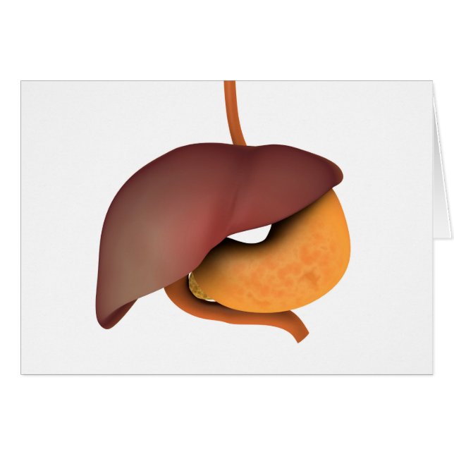 Conceptual Image of Human Digestive System 3 (Vorderseite (Horizontal))