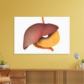 Conceptual Image of Human Digestive System 3 Leinwanddruck (Insitu (Wohnzimmer))