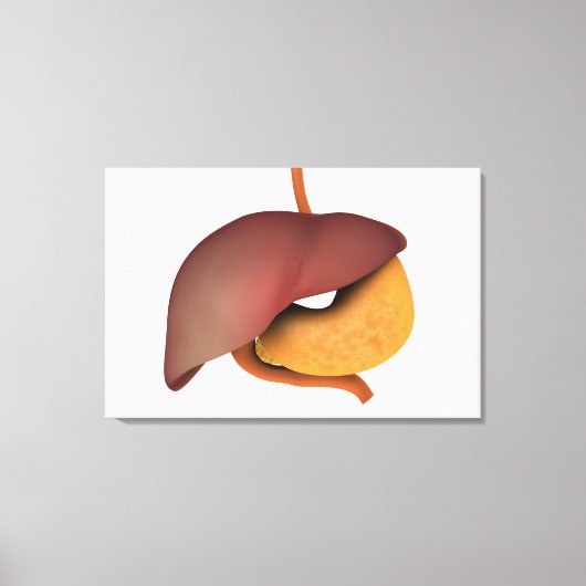 Conceptual Image of Human Digestive System 3 Leinwanddruck (Vorderseite)