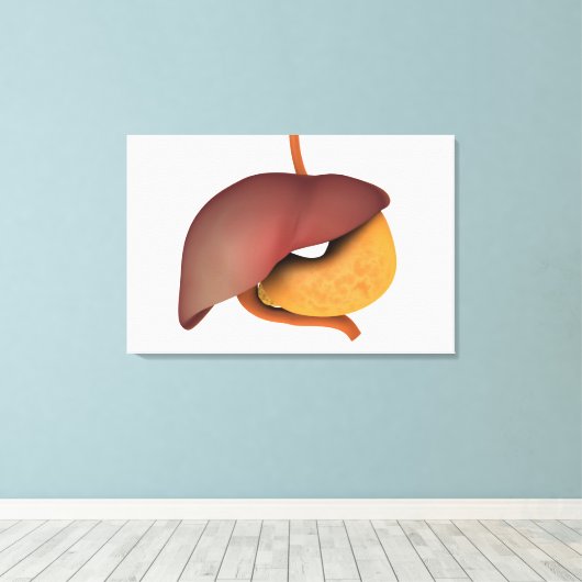 Conceptual Image of Human Digestive System 3 Leinwanddruck (Insitu (Holzboden))
