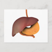 Conceptual Image of Human Digestive System 3 Postkarte (Vorderseite)