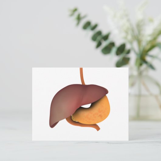 Conceptual Image of Human Digestive System 3 Postkarte (Stehend Vorderseite)