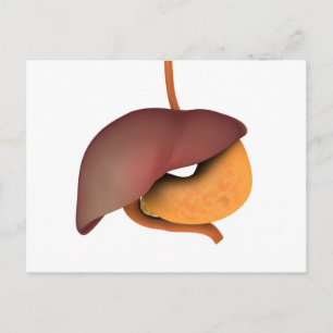 Conceptual Image of Human Digestive System 3 Postkarte