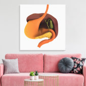 Conceptual Image of Human Digestive System 4 Leinwanddruck (Insitu (Wohnzimmer))