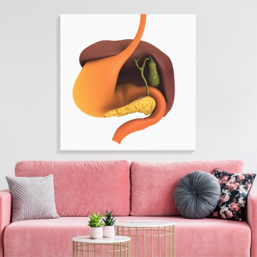 Conceptual Image of Human Digestive System 4 Leinwanddruck (Insitu (Wohnzimmer))