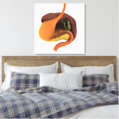 Conceptual Image of Human Digestive System 4 Leinwanddruck (Insitu (Schlafzimmer))