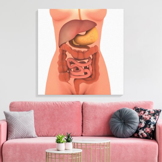 Conceptual Image of Human Digestive System 5 Leinwanddruck (Insitu (Wohnzimmer))