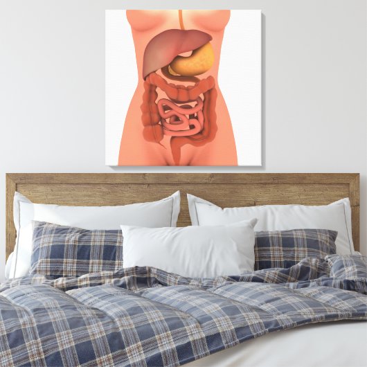Conceptual Image of Human Digestive System 5 Leinwanddruck (Insitu (Schlafzimmer))