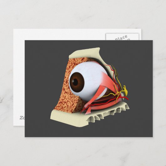 Conceptual Image of Human Eye Anatomy 1 Postkarte (Vorne/Hinten)