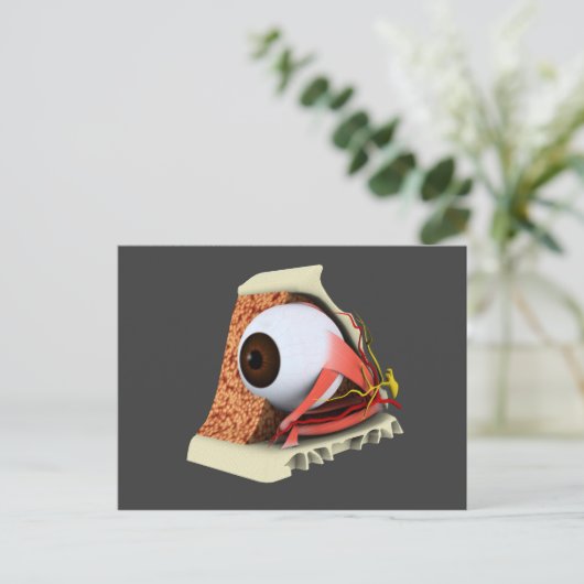 Conceptual Image of Human Eye Anatomy 1 Postkarte (Stehend Vorderseite)