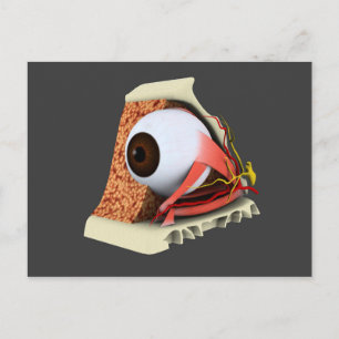 Conceptual Image of Human Eye Anatomy 1 Postkarte