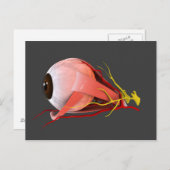 Conceptual Image of Human Eye Anatomy 2 Postkarte (Vorne/Hinten)