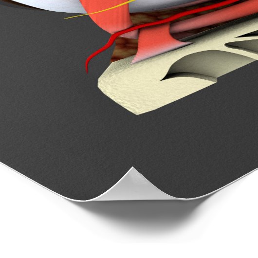 Conceptual Image of Human Eye Anatomy 3 Poster (Ecke)