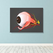 Conceptual Image of Human Eye Anatomy 5 Leinwanddruck (Insitu (Holzboden))