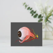 Conceptual Image of Human Eye Anatomy 5 Postkarte (Stehend Vorderseite)