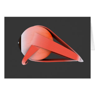 Conceptual Image of Human Eye Anatomy 7