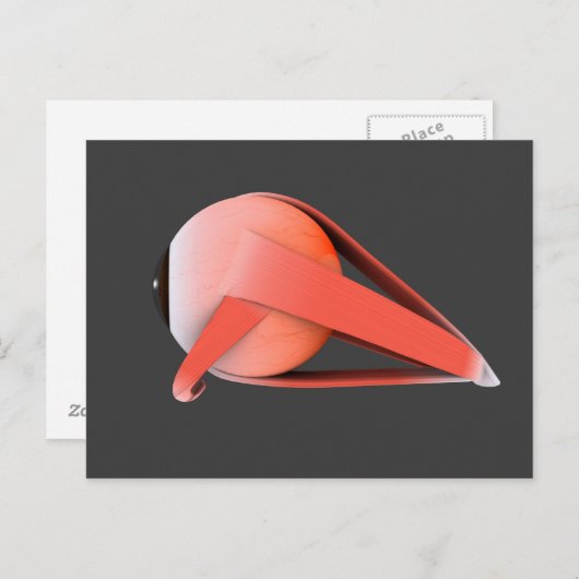 Conceptual Image of Human Eye Anatomy 7 Postkarte (Vorne/Hinten)