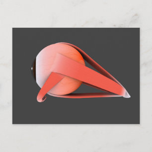 Conceptual Image of Human Eye Anatomy 7 Postkarte