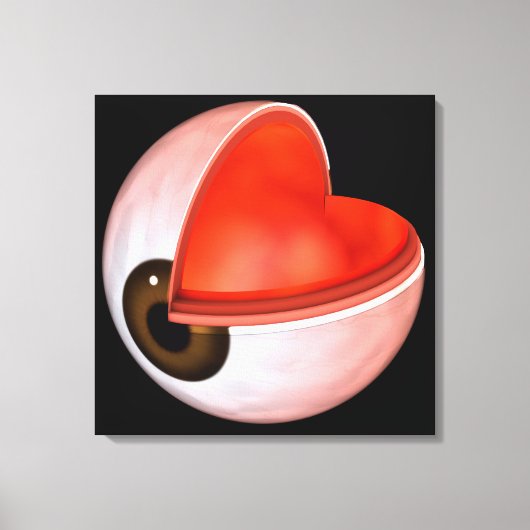 Conceptual Image of Human Eye Anatomy 8 Leinwanddruck (Vorderseite)