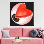 Conceptual Image of Human Eye Anatomy 8 Leinwanddruck (Insitu (Wohnzimmer))