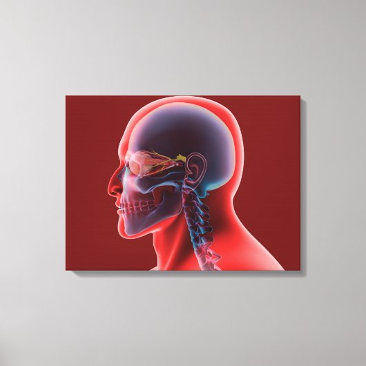 Conceptual Image of Human Eye and Skull Leinwanddruck (Vorderseite)