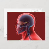 Conceptual Image of Human Eye and Skull Postkarte (Vorne/Hinten)