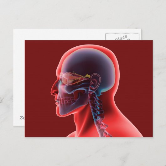 Conceptual Image of Human Eye and Skull Postkarte (Vorne/Hinten)