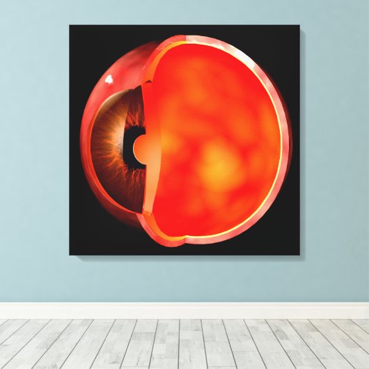 Conceptual Image of human Eye Cross Abschnitt 1 Leinwanddruck (Insitu (Holzboden))