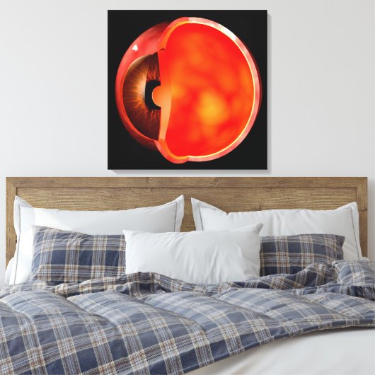Conceptual Image of human Eye Cross Abschnitt 1 Leinwanddruck (Insitu (Schlafzimmer))