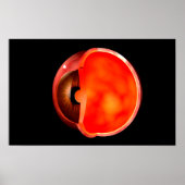 Conceptual Image of human Eye Cross Abschnitt 1 Poster (Vorne)
