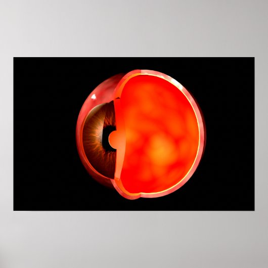 Conceptual Image of human Eye Cross Abschnitt 1 Poster (Vorne)