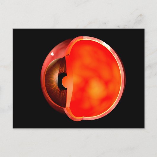 Conceptual Image of human Eye Cross Abschnitt 1 Postkarte (Vorderseite)