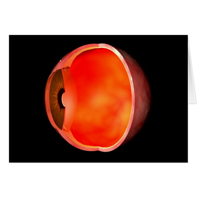 Conceptual Image of human Eye Cross Abschnitt 2 (Vorderseite (Horizontal))