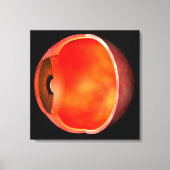 Conceptual Image of human Eye Cross Abschnitt 2 Leinwanddruck (Vorderseite)