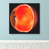 Conceptual Image of human Eye Cross Abschnitt 2 Leinwanddruck (Insitu (Holzboden))