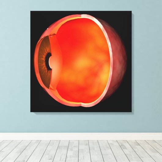 Conceptual Image of human Eye Cross Abschnitt 2 Leinwanddruck (Insitu (Holzboden))