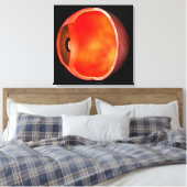 Conceptual Image of human Eye Cross Abschnitt 2 Leinwanddruck (Insitu (Schlafzimmer))