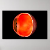 Conceptual Image of human Eye Cross Abschnitt 2 Poster (Vorne)