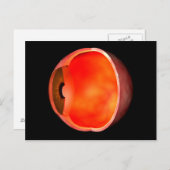 Conceptual Image of human Eye Cross Abschnitt 2 Postkarte (Vorne/Hinten)
