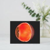 Conceptual Image of human Eye Cross Abschnitt 2 Postkarte (Stehend Vorderseite)