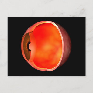 Conceptual Image of human Eye Cross Abschnitt 2 Postkarte