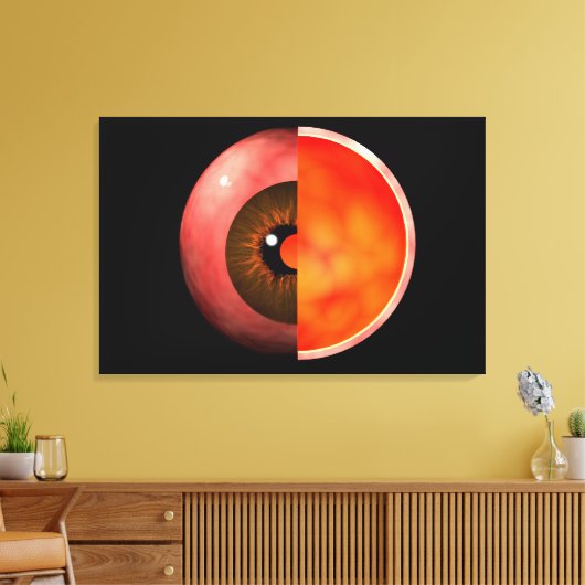Conceptual Image of human Eye Cross Section 3 Leinwanddruck (Insitu (Wohnzimmer))