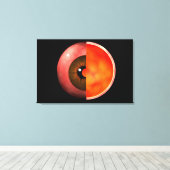 Conceptual Image of human Eye Cross Section 3 Leinwanddruck (Insitu (Holzboden))