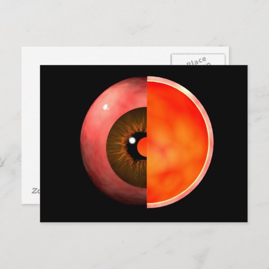 Conceptual Image of human Eye Cross Section 3 Postkarte (Vorne/Hinten)