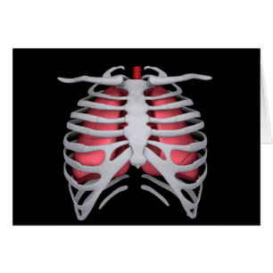 Conceptual Image of Human Lungs and Rib Cage 1