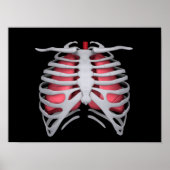 Conceptual Image of Human Lungs and Rib Cage 1 Poster (Vorne)